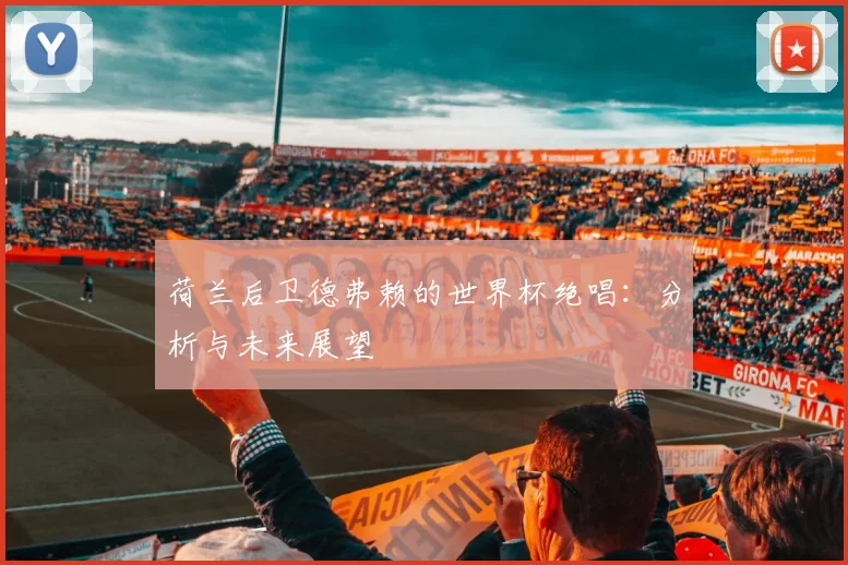 荷兰后卫德弗赖的世界杯绝唱：分析与未来展望
