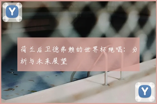 荷兰后卫德弗赖的世界杯绝唱:分析与未来展望