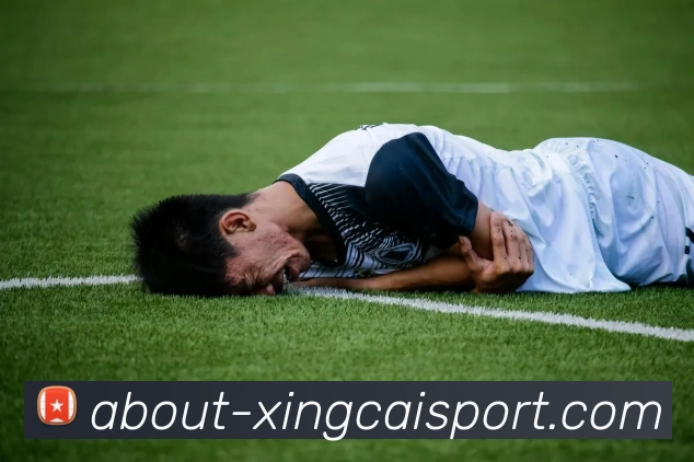 杏彩体育品牌故事